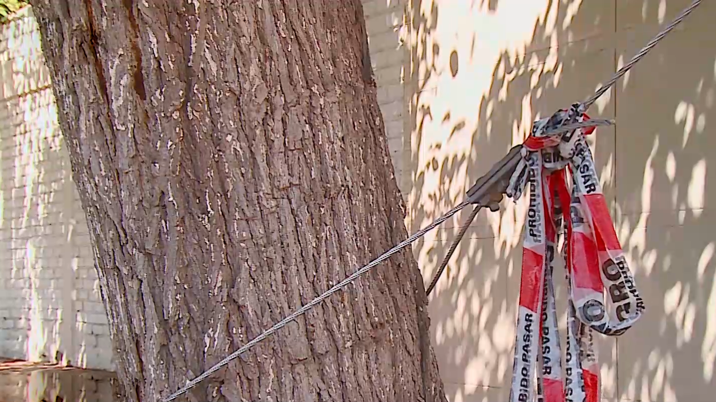 Guaymall N Viven En Una Esquina Entre Cables Mal Puestos Y Postes A Punto De Caer